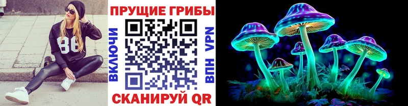 где купить наркотик  Находка  Псилоцибиновые грибы MAGIC MUSHROOMS 